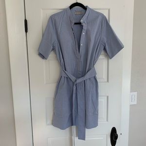 Everlane Dress